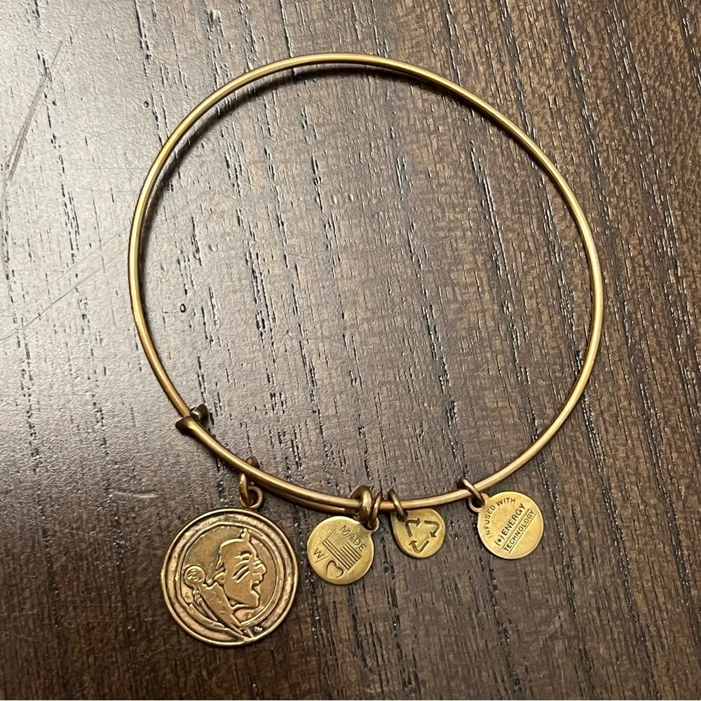 Alex and Ani FSU Charm Bracelet - Picture 2 of 6